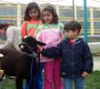 April School Vacation Activities at Providence Children's Museum